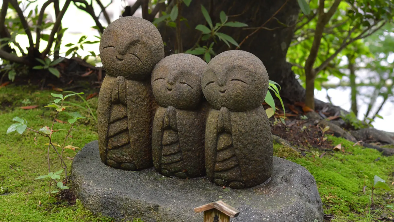 Three small stone Jizo statues surrounded by moss and greenery in Japan